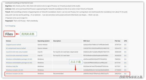 不是最強(qiáng)卻是最火 Python編程語言的下載與安裝完全指南